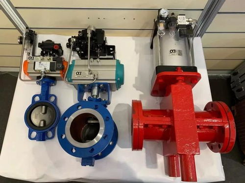 alpha氣動閥門在蒙古國uhg選煤廠成功應用并完美替代歐美產(chǎn)品